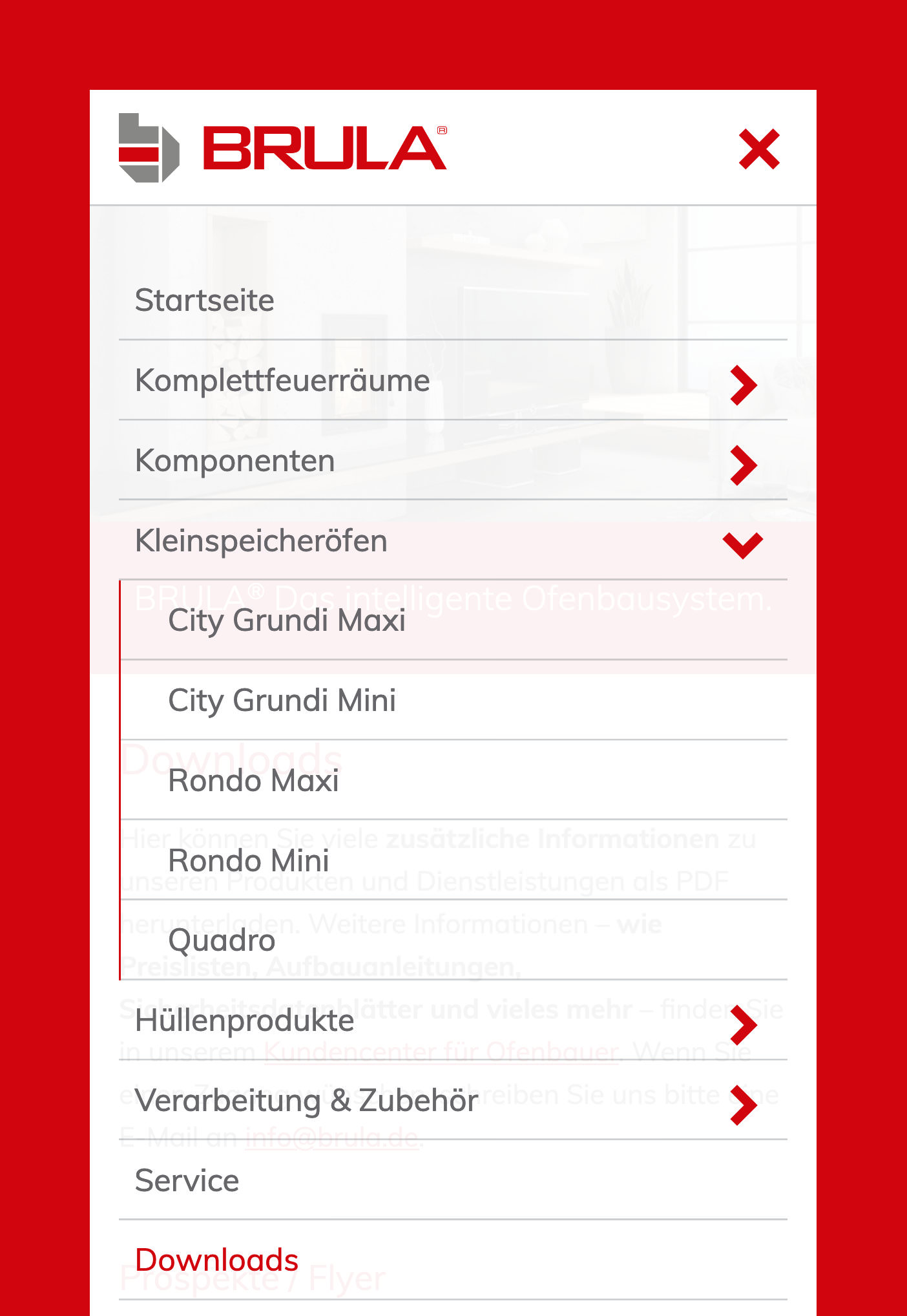 Brula® Screenshot 3