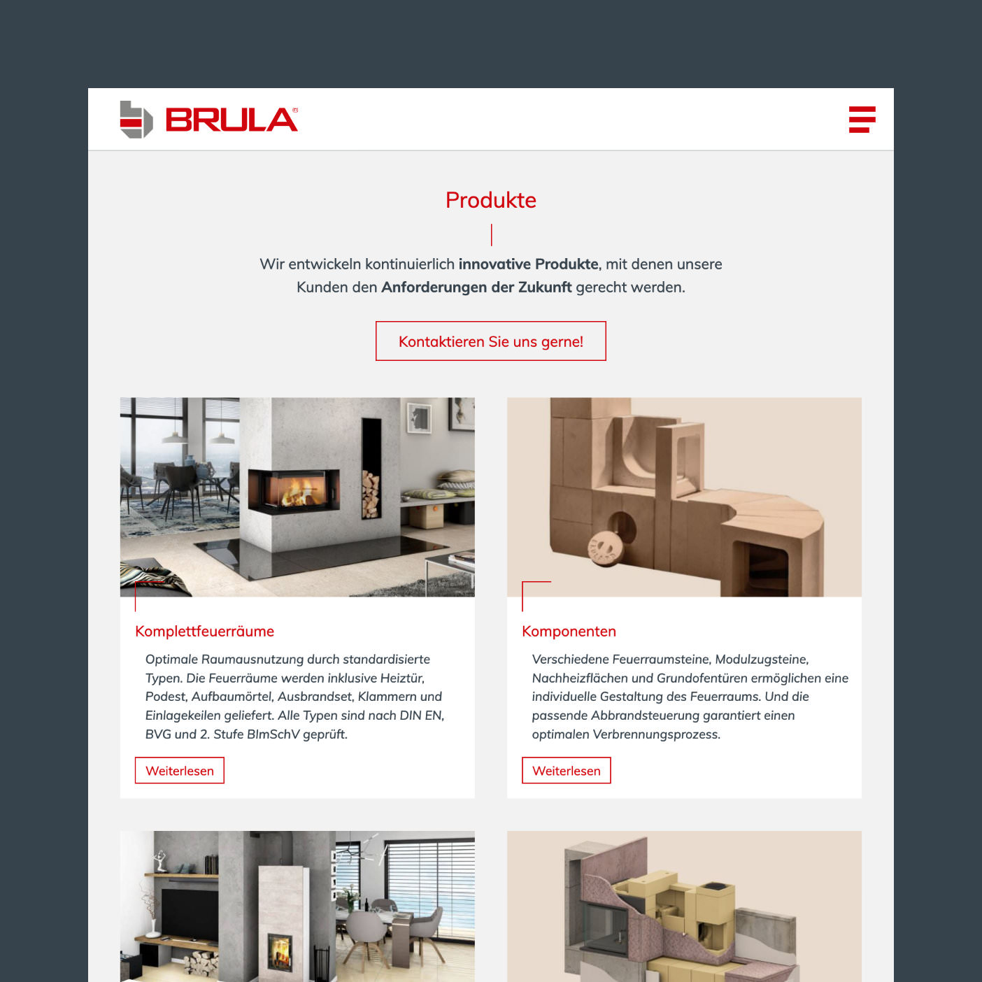 Brula® Screenshot 4