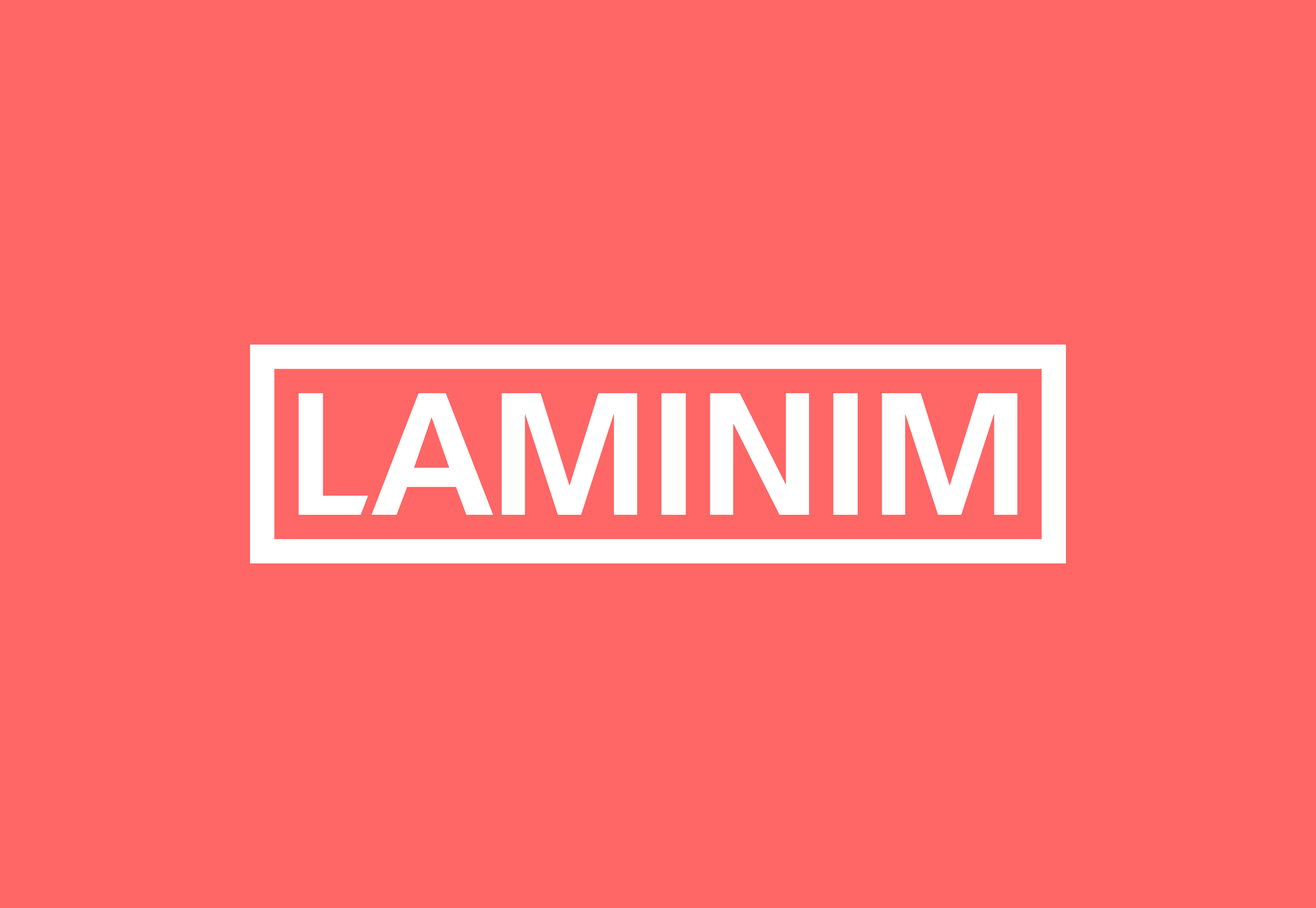 Laminim Screenshot 1